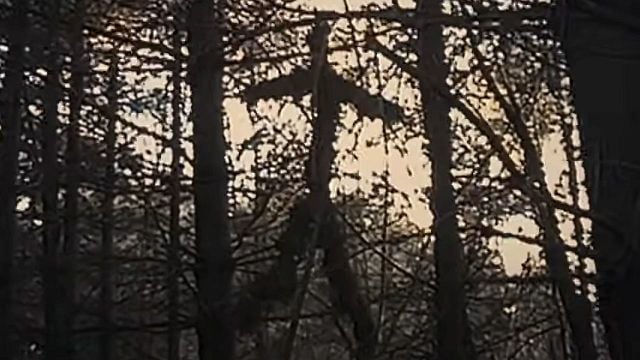 Costó 35.000 dólares y recaudó 248 millones: solo unos pocos pueden ver la versión original de una de las películas más rentables de la historia noticias imagen