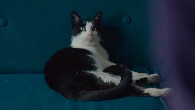 Hace 11 años, un despido fulminante hundió esta película: tiempo después acabaría llegando a los Oscar noticias imagen