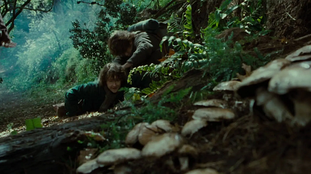 La broma de 'El señor de los anillos: La comunidad del anillo' que solo entenderán los fans del libro noticias imagen