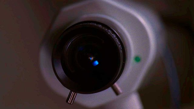 Está en Netflix, ganó 4 premios Oscar y es uno de los mejores thrillers que existen noticias imagen