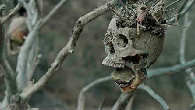 4,5/5 estrellas: el western que puso patas arriba el género con su crudo y salvaje final noticias imagen