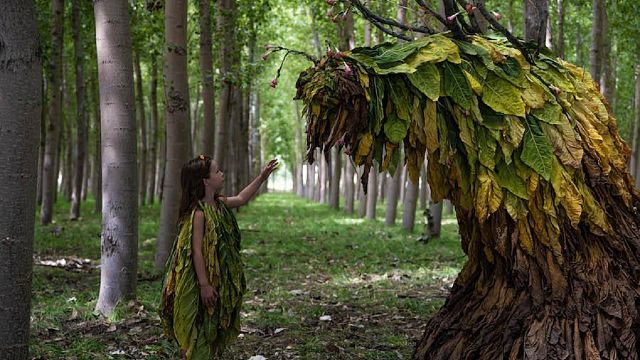 'Secaderos’, un viaje por la identidad a través de una Granada mágica y con acento al que puedes echar un vistazo en este clip en exclusiva noticias imagen