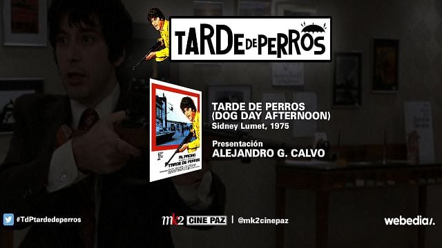 SensaCine y 'Tarde de perros' te invitan a la proyección de ‘Tarde de perros’ (1975): sorteamos 50 entradas dobles noticias imagen