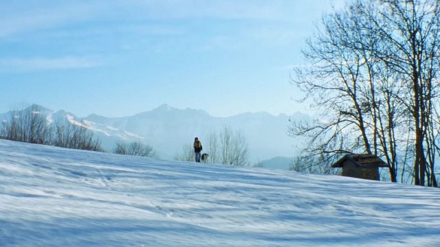 Hoy en TV, un thriller ganador del Oscar con un final abierto que te deja pensando durante varios días noticias imagen