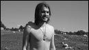 Tráiler de 'Taking Woodstock' noticias imagen