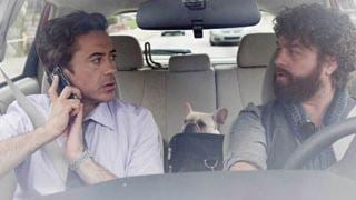 Tráiler de 'Due Date', con Robert Downey Jr.