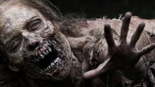 ¡Primera imagen de la segunda temporada de 'The Walking Dead'! noticias imagen
