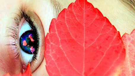 Lifetime se apunta a la moda de la fantasía y adaptará 'Witches of East End' noticias imagen