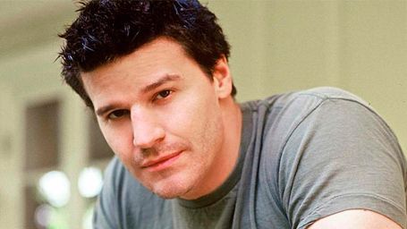 'Full Circle': David Boreanaz y Kate Walsh, protagonistas de la nueva serie de DirecTV noticias imagen