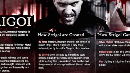 'Vampire Academy': ¡Una nueva infografía presenta a los vampiros 'strigoi'! noticias imagen