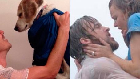 'El diario de Noa', 'Dirty Dancing', 'Titanic' y otras películas recreadas por un hombre y su perro noticias imagen