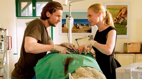 'Bienvenida al pueblo, doctora' se estrena este domingo en Cosmopolitan TV noticias imagen