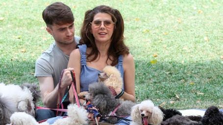 No te pierdas al ex de 'Harry Potter' Daniel Radcliffe rodeado de perros