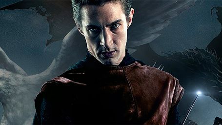 Todo lo que sabemos sobre el 'spin-off' de 'Harry Potter' 'Animales fantásticos y dónde encontrarlos' noticias imagen