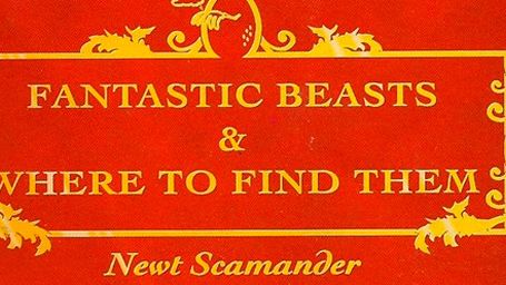 Warner Bros. confirma que 'Animales fantásticos y dónde encontrarlos' será una trilogía noticias imagen