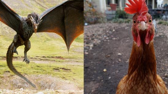 Los artistas de ‘Juego de Tronos’ se basaron en un pollo para hacer a los dragones de Daenerys noticias imagen