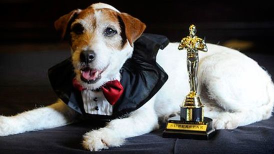 Uggie, el perro de 'The Artist', muere a los 13 años