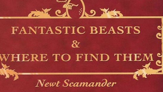 'Animales fantásticos y dónde encontrarlos': J.K. Rowling revela una nueva conexión con el mundo de 'Harry Potter' noticias imagen