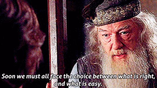 Este tronchante cómic de 'Harry Potter' demuestra que Dumbledore era en realidad un irresponsable noticias imagen