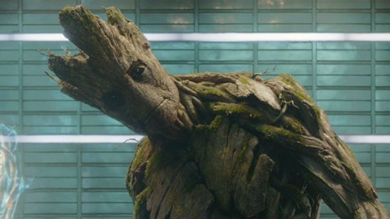 'Guardianes de la Galaxia': James Gunn comparte la historia de un niño con dispraxia que ha conseguido comunicarse gracias a Groot noticias imagen