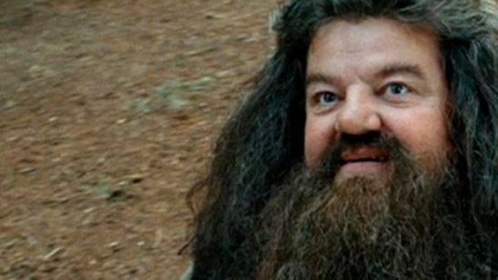 'Harry Potter': ¿Por qué Hagrid no puede producir un Patronus? noticias imagen