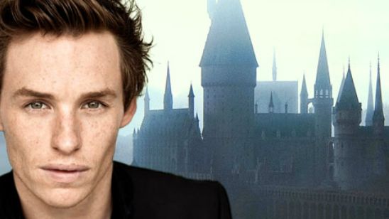 'Animales fantásticos y dónde encontrarlos': Eddie Redmayne no quiere fastidiarla como Newt Scamander noticias imagen