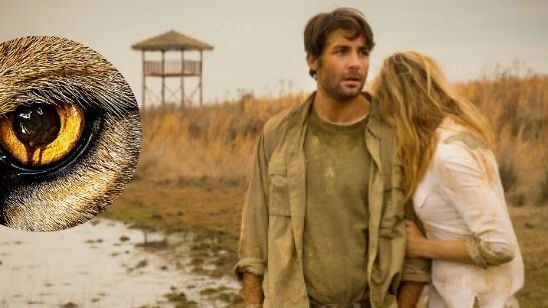 'Zoo' renueva por una segunda temporada noticias imagen