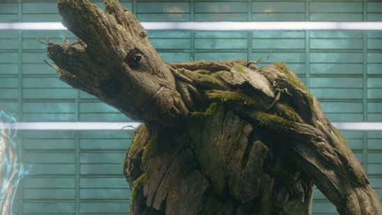 'Guardianes de la Galaxia Vol. 2': Vin Diesel quiere un Groot gigante en la secuela noticias imagen