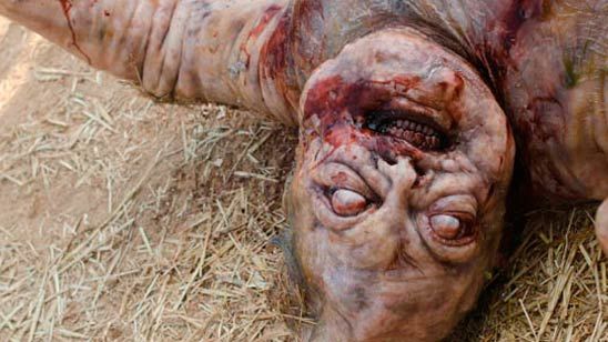 Un fan de 'The Walking Dead' mata a su amigo porque pensaba que podría convertirse en zombi noticias imagen