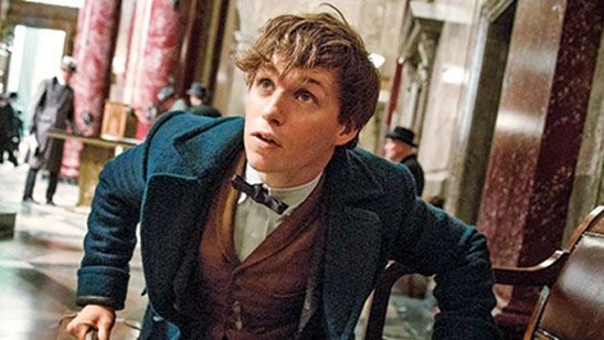 Seis precuelas de ‘Harry Potter’ que nos gustaría ver en cines