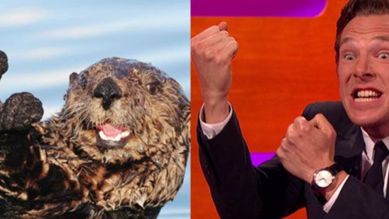 Benedict Cumberbatch imita a una nutria con ayuda de Johnny Depp en este divertido vídeo noticias imagen