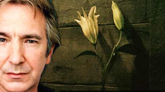 El lirio en la clase de pociones y otros homenajes a Alan Rickman noticias imagen