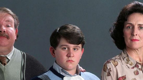 'Harry Potter': Esta teoría conecta a los Dursley con las Reliquias de la Muerte noticias imagen