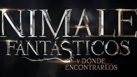 'Animales fantásticos y dónde encontrarlos': La precuela de 'Harry Potter' iba a ser un falso documental noticias imagen