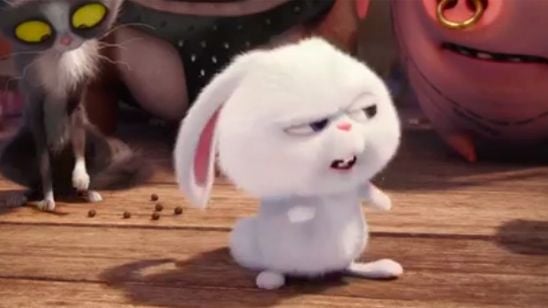 'Mascotas': Nuevo tráiler de la película de animación de los creadores de 'Gru. Mi villano favorito' noticias imagen