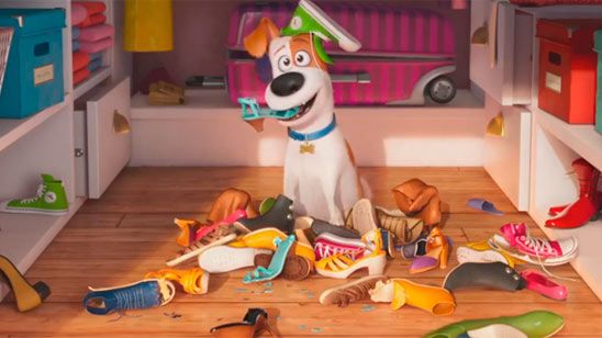 'Mascotas': Los animales vuelven a la carga en el spot de la Super Bowl noticias imagen