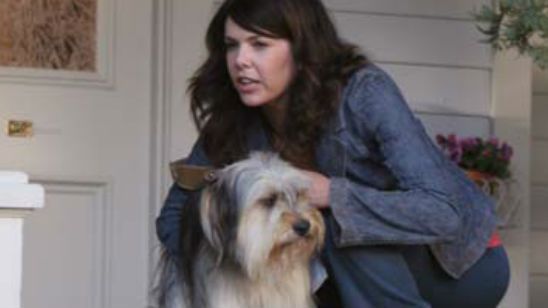 'Las Chicas Gilmore': El perro Paul Anka volverá en la continuación de la mítica serie de CW noticias imagen