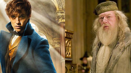 'Animales fantásticos y dónde encontrarlos': J.K. Rowling habla sobre la conexión entre Dumbledore y Newt Scamander noticias imagen