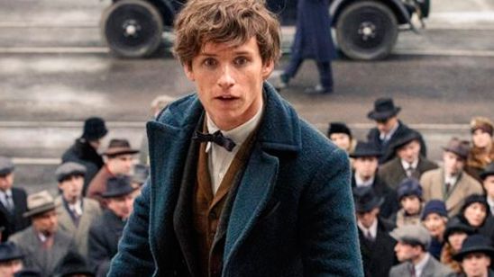 'Animales fantásticos y dónde encontrarlos' podría presentar versiones jóvenes de personajes ya conocidos noticias imagen