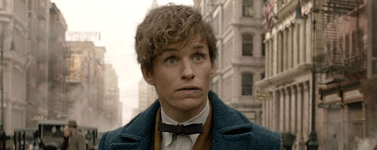 'Animales fantásticos y dónde encontrarlos': Revelados los nombres de las casas de Ilvermorny noticias imagen