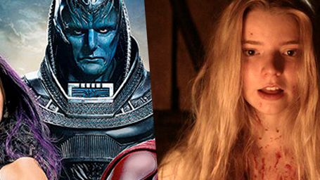 Amigos de SensaCine: Nuestros Blogueros Opinan (S4 de Mayo) noticias imagen