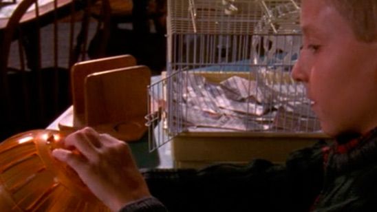 'Malcolm in the Middle': ¿Te acuerdas de Bernard, el hamster de Dewey? noticias imagen