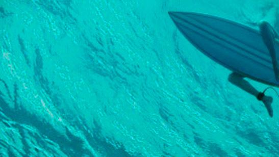 'Infierno azul': Blake Lively vive una pesadilla en el mar frente a un tiburón en el tráiler final