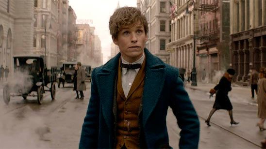 'Harry Potter': ¿Qué otro 'spin-off' de la saga te gustaría ver? noticias imagen