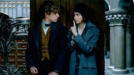 El reparto de 'Animales fantásticos y dónde encontrarlos' firmará autógrafos en la Comic-Con de San Diego noticias imagen