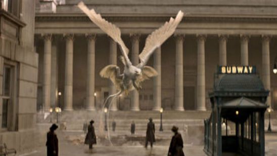'Animales fantásticos y dónde encontrarlos': Conoce a las cuatro criaturas mágicas que aparecen en el último tráiler noticias imagen