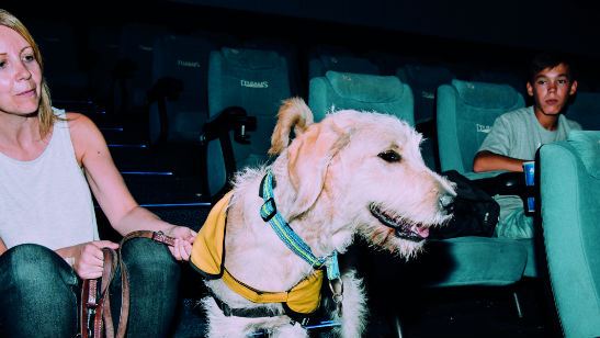'Mascotas': la Fundación ONCE organiza un preestreno exclusivo para personas con discapacidad visual