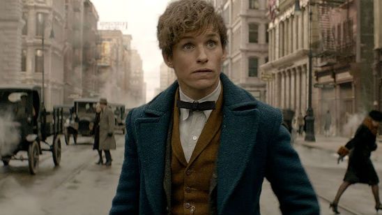'Animales fantásticos y dónde encontrarlos': Así se preparó Eddie Redmayne para convertirse en Newt Scamander noticias imagen