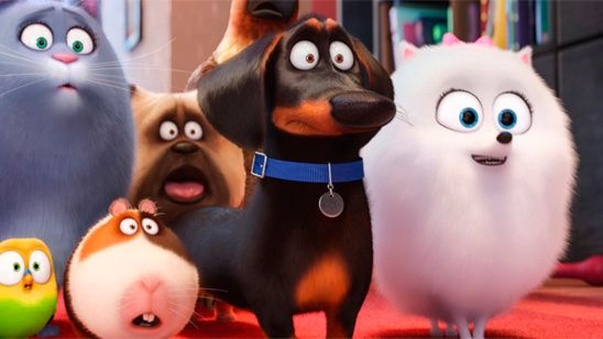 'Mascotas': ¿Descubriste a los minions que se esconden en la película? noticias imagen