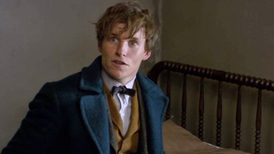 ¿Conseguirá 'Animales fantásticos y dónde encontrarlos' igualar los datos de 'Harry Potter'? noticias imagen